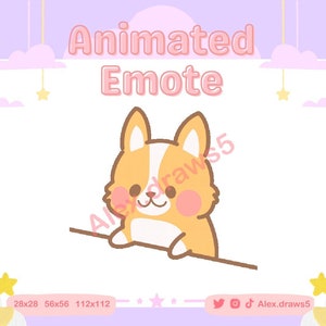 Corgi Dog Animated Bongo Emote for Twitch / Discord / Youtube | Stream emote | Custom Twitch Emotes | Orange Dog | Animated Emotes |