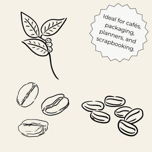 Hand-drawn coffee clipart set with line art coffee cups, espresso tools, moka pot, grinder, coffee beans and cafe elements, doodle illustrations.