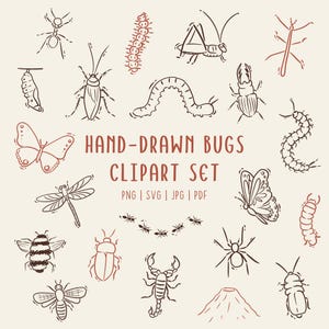 Handgezeichnetes Bugs Doodle Clipart-Set | Line Art Insekt Illustrationen | PNG SVG PDF Kommerzielle Nutzung
