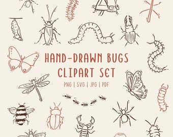 Conjunto de imágenes prediseñadas de insectos dibujados a mano / Ilustraciones de insectos con líneas / PNG SVG PDF para uso comercial
