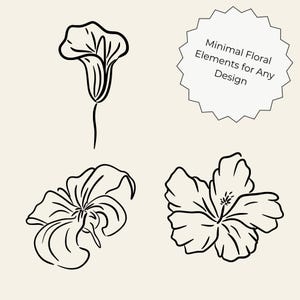 Transparent background set of 50 hand-drawn floral cliparts, featuring botanical line art flowers, leaves, stems, wildflowers, and bouquets.