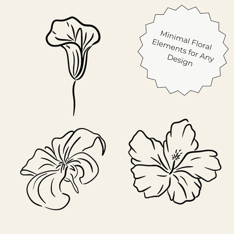 Transparent background set of 50 hand-drawn floral cliparts, featuring botanical line art flowers, leaves, stems, wildflowers, and bouquets.