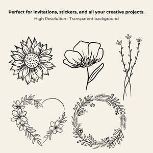 Transparent background set of 50 hand-drawn floral cliparts, featuring botanical line art flowers, leaves, stems, wildflowers, and bouquets.