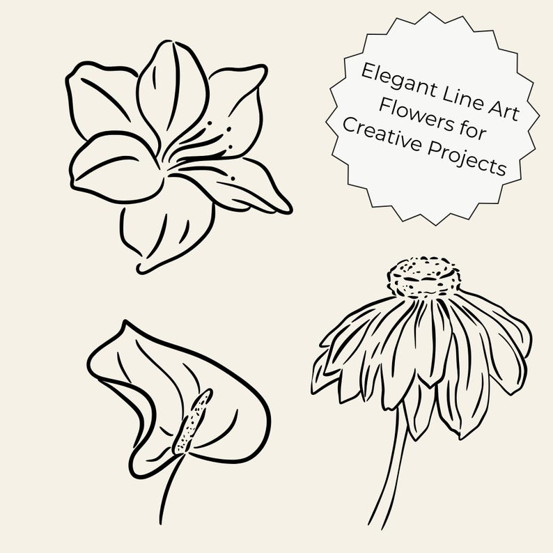 Transparent background set of 50 hand-drawn floral cliparts, featuring botanical line art flowers, leaves, stems, wildflowers, and bouquets.