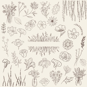 Transparent background set of 50 hand-drawn floral cliparts, featuring botanical line art flowers, leaves, stems, wildflowers, and bouquets.