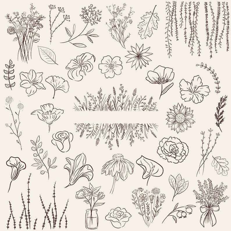 Transparent background set of 50 hand-drawn floral cliparts, featuring botanical line art flowers, leaves, stems, wildflowers, and bouquets.