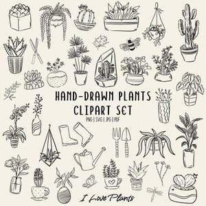 Hand-Drawn Plants & Botanical Clipart Set | 75 Houseplant Illustrations (SVG, PNG, PDF Commercial Use )