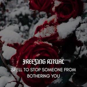Puede incluir: Primer plano de rosas rojas oscuras cubiertas de nieve. La imagen tiene el texto "FREEZING RITUAL" y "SPELL TO STOP SOMEONE FROM BOTHERING YOU". Las rosas están en plena floración, con pétalos visibles y un fondo oscuro.