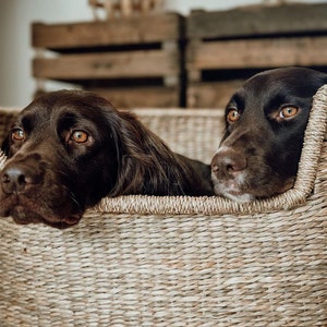 Wunderschönes Hundekörbchen aus geflochtenem und natürlichem Seegras in nachhaltigem Boho Stil für deinen Hund und deine Wohnung.