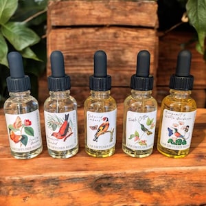 May include: Five glass car diffuser refill bottles with black droppers are displayed on a wooden surface. Each bottle has a different label with a botanical illustration of a bird, butterfly, or flowers. The bottles are filled with a yellow liquid.