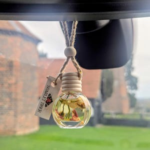 Handcrafted Botanical Car Diffuser, Air Freshener, Car Gift, Choice of Scents