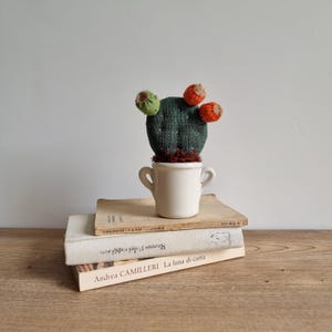 Könnte beinhalten: Ein handgefertigter, gestrickter Kaktus mit grünen und orangefarbenen Akzenten, der in einem kleinen weißen Keramikbecher steht. Der Kaktus steht auf einem Stapel alter Bücher, was ein einzigartiges Dekorationsobjekt ergibt. Die Bücher stehen auf einer Holzoberfläche.