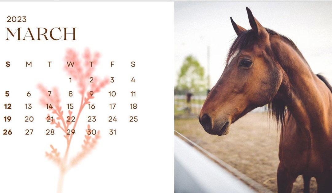 horse-calendar-2023-etsy