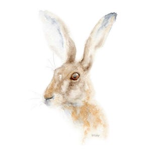 Hare Watercolour Print | Unmounted | Countryside Wildlife Décor