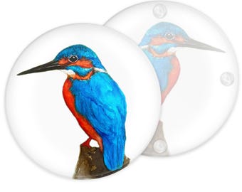 Kingfisher Glass Coaster for Bird Lovers, Watercolour Wildlife Tableware, Countryside Home Decor