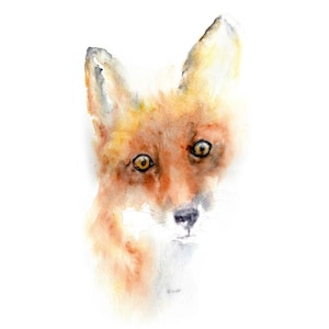 Fox Watercolour Print | Unmounted | Wildlife Countryside Décor & Rustic Nature Gift