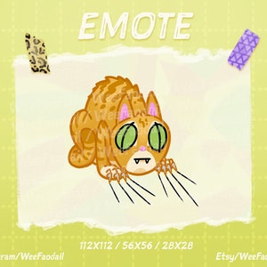 Süßes, kratziges Katzen Emote - Twitch & Discord