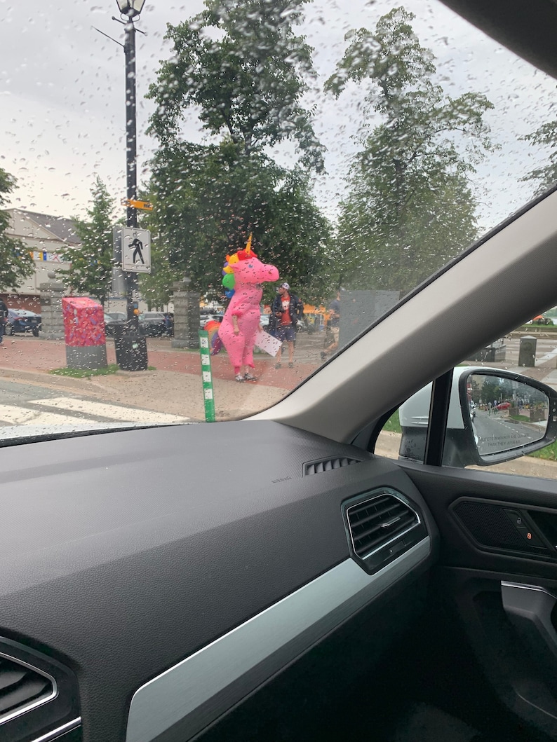 May include: A pink inflatable unicorn with a rainbow mane and tail stands on a pavement in front of a pedestrian crossing. The unicorn is visible through the windscreen of a car.