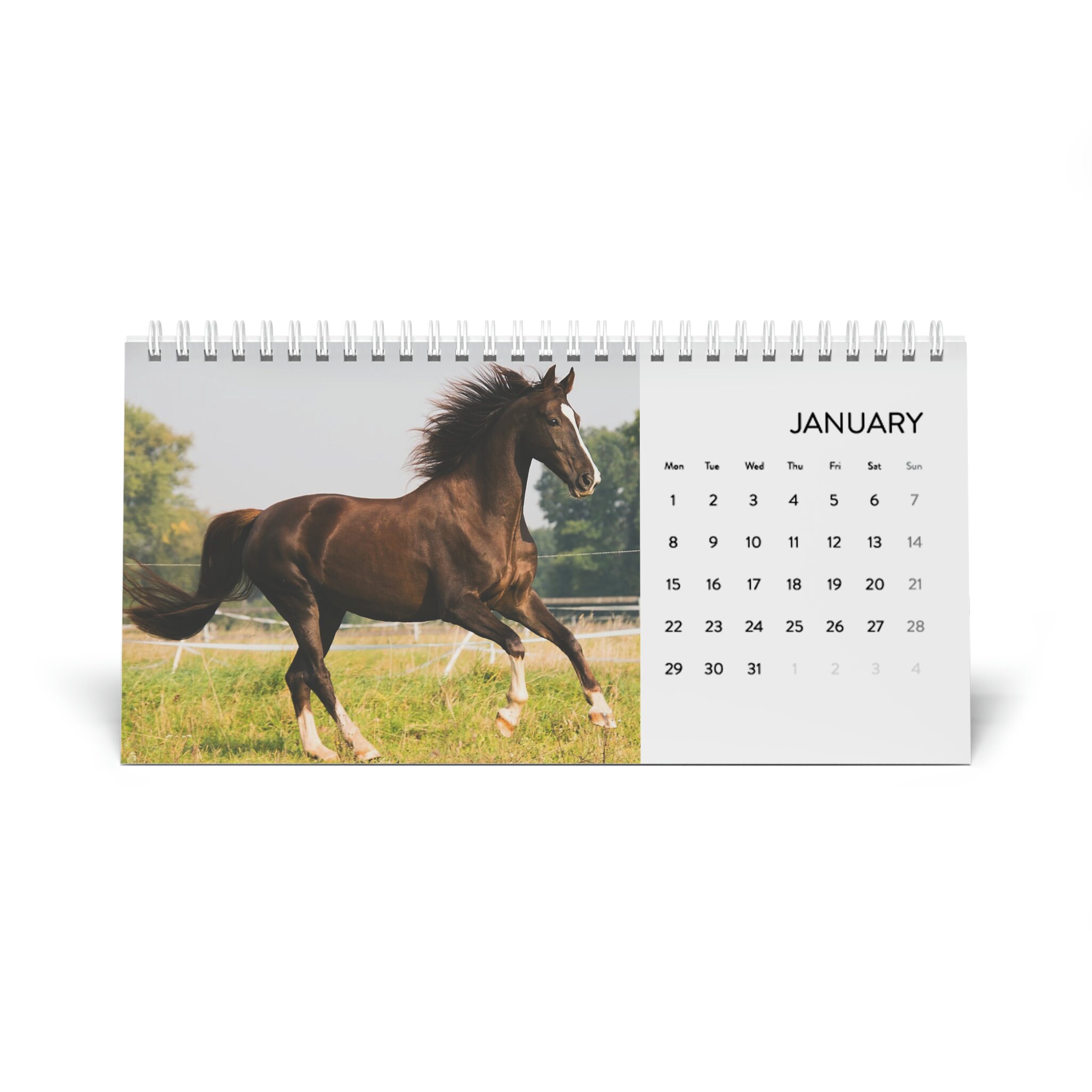 2024 Horse Desk Calendar 2024 Grid Equine Farm Animal Office Etsy UK