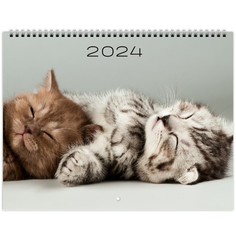 2024 Kitten Wall Calendars US & CA Cute Cat Feline Kitty Cat Etsy