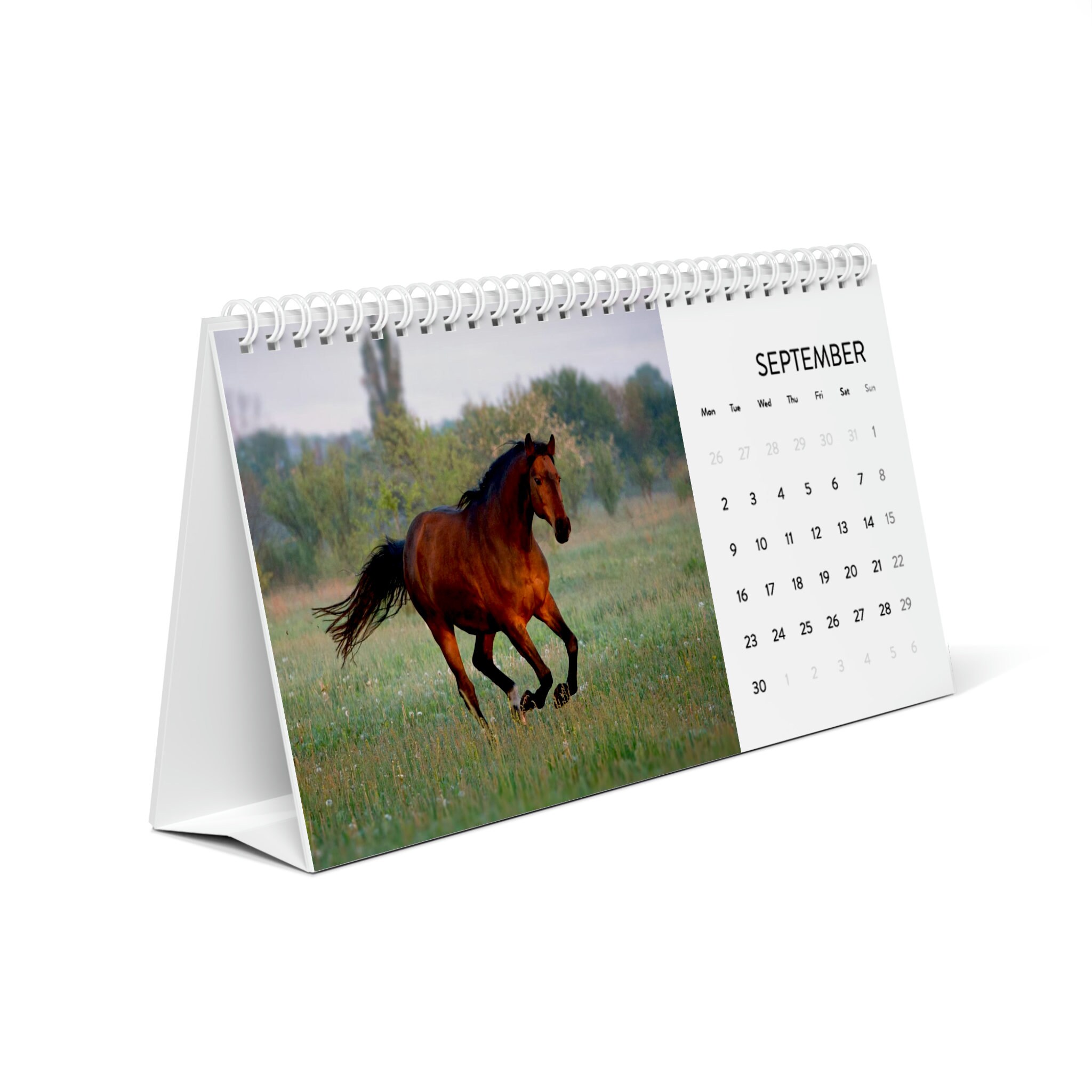 2024 Horse Desk Calendar 2024 Grid Equine Farm Animal Office Etsy UK