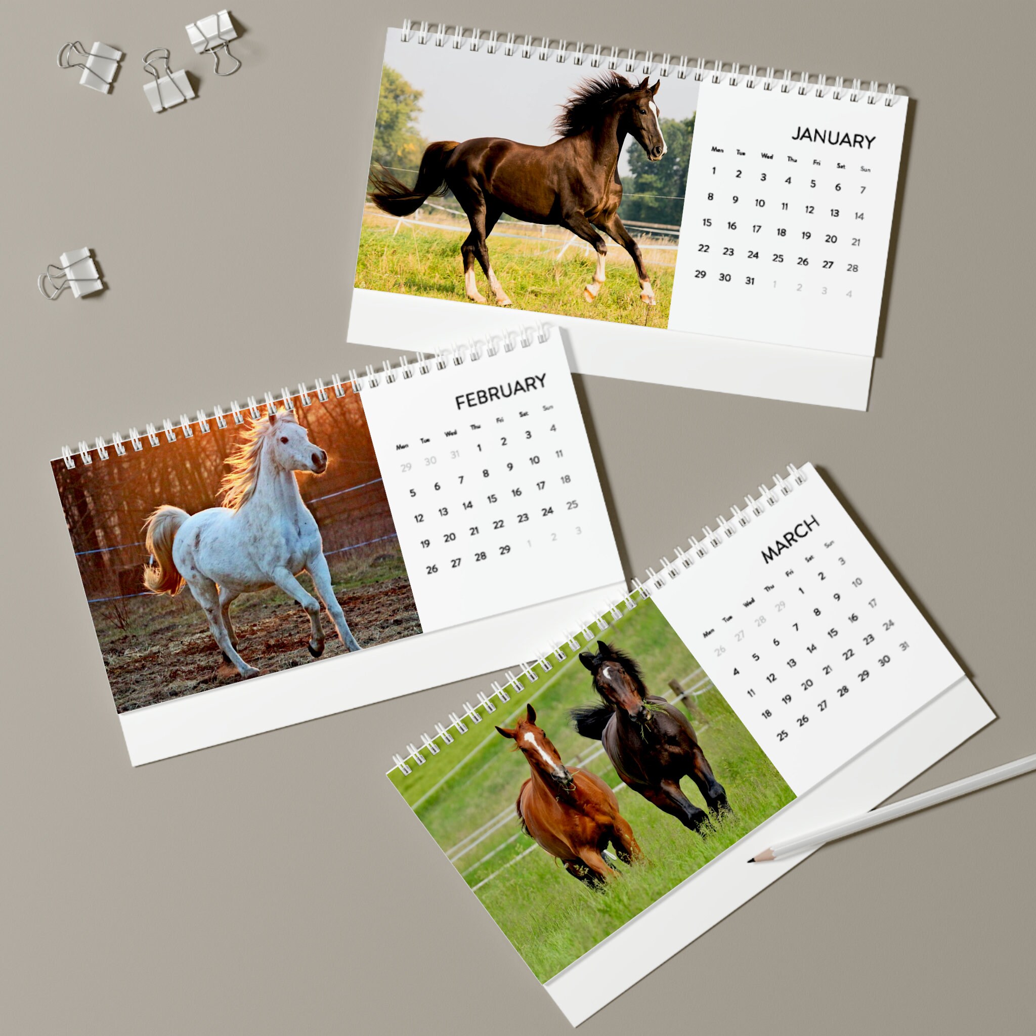 2024 Horse Desk Calendar 2024 Grid Equine Farm Animal Office Etsy UK