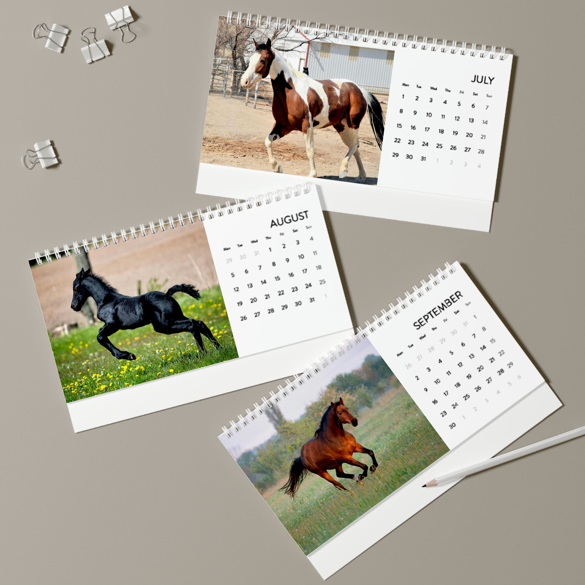 2024 Horse Desk Calendar 2024 Grid Equine Farm Animal Office Etsy UK