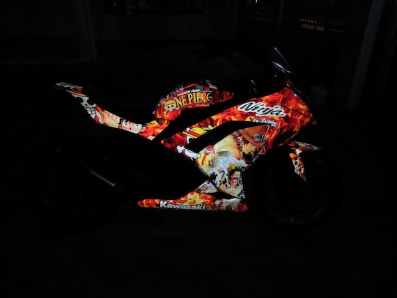 NINJA 300/250 2017 KAWASAKI REFLECTIVE Full Body Sticker (90-95