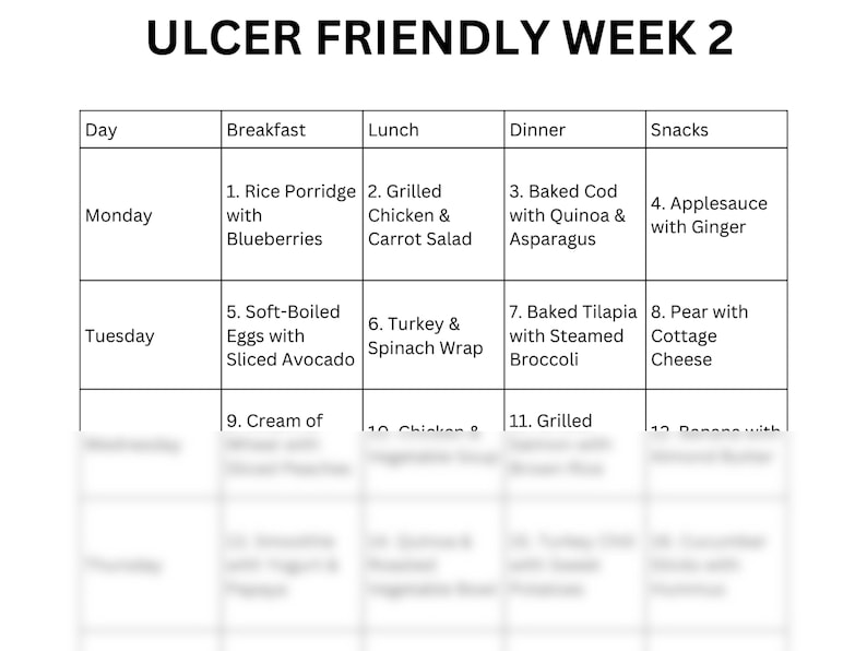7day Meal Plan for Ulcers PDF Printable Meal Ideas for Breakfast