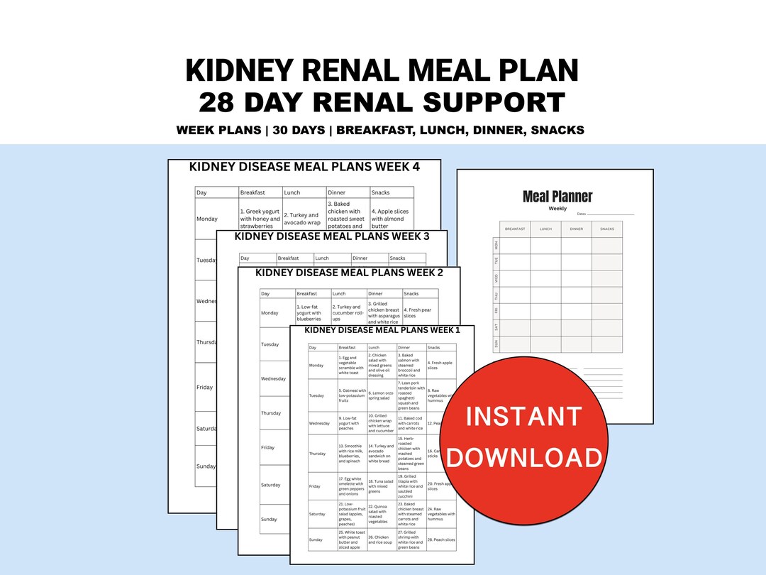 Kidney Recipe Meal Plan PDF, Renal Diet Menu Ideas, Healthy Food ...