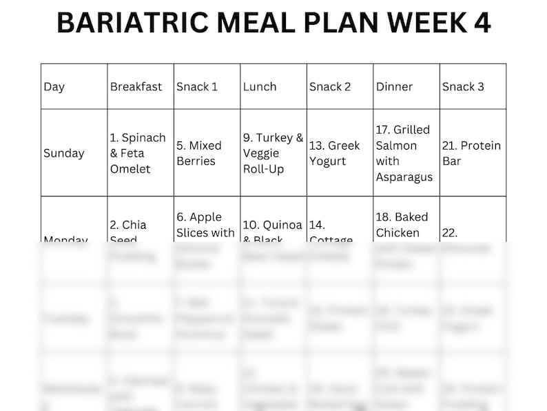 Bariatric Meal Plan Printable PDF 7 Day Plans (one Month Total) With