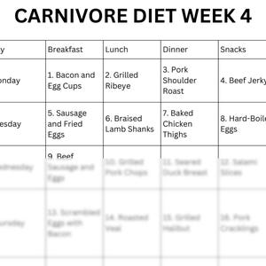 carnivore diet meal plan