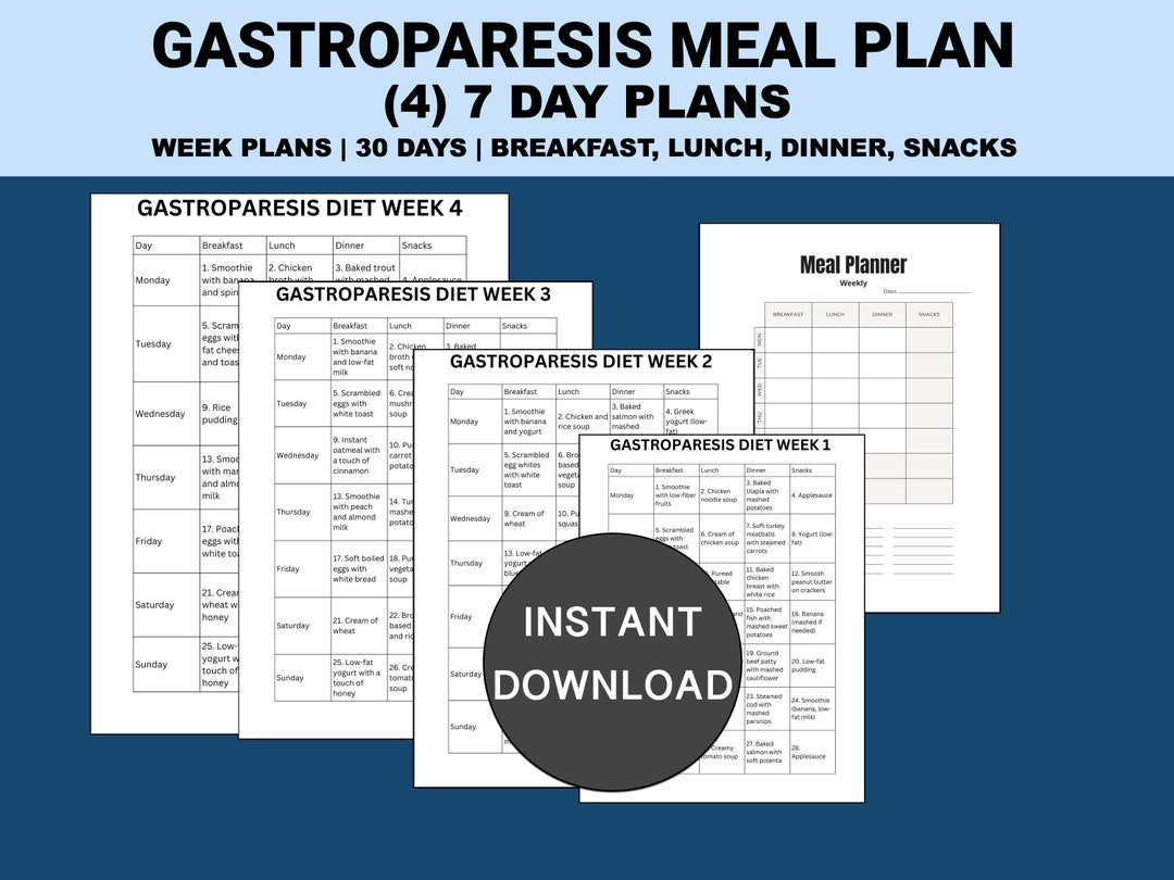 Gastroparesis Meal Plan PDF Gastroparesis Recipes Self Care Diet