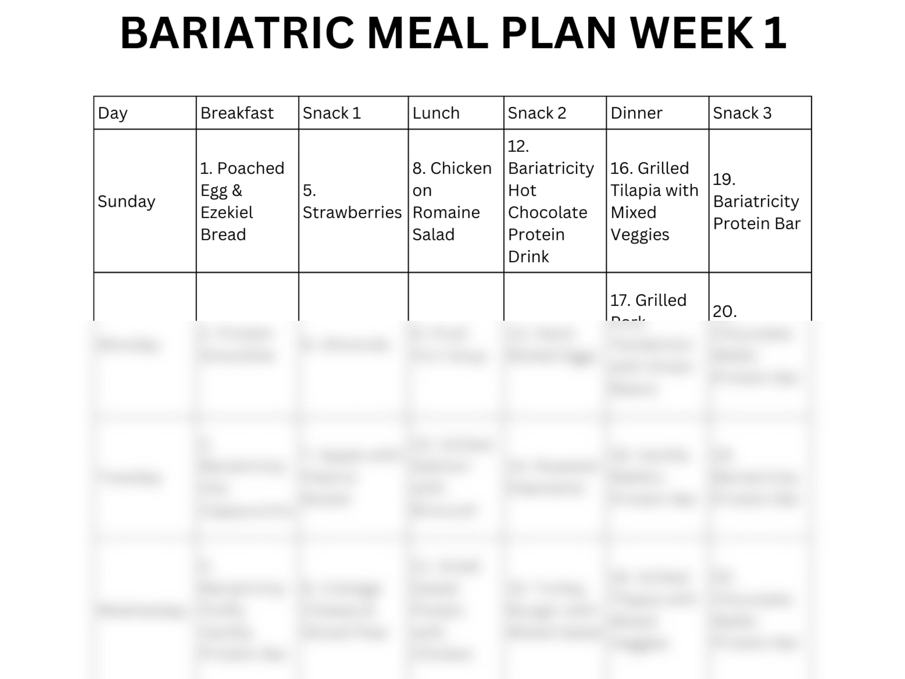 Bariatric Meal Plan Printable PDF 7 Day Plans (one Month Total) With