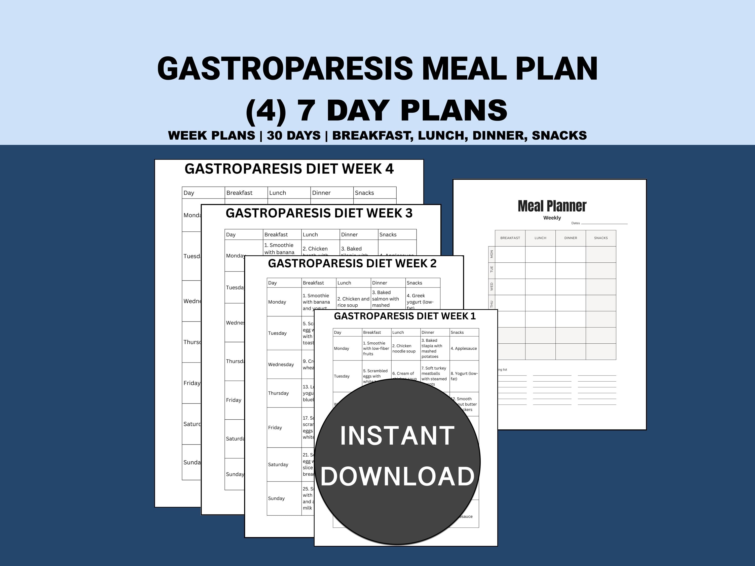 Gastroparesis Meal Plan PDF | Gastroparesis Recipes | Self Care Diet Modification | Breakfast, Lunch, Dinner, Snack Ideas
