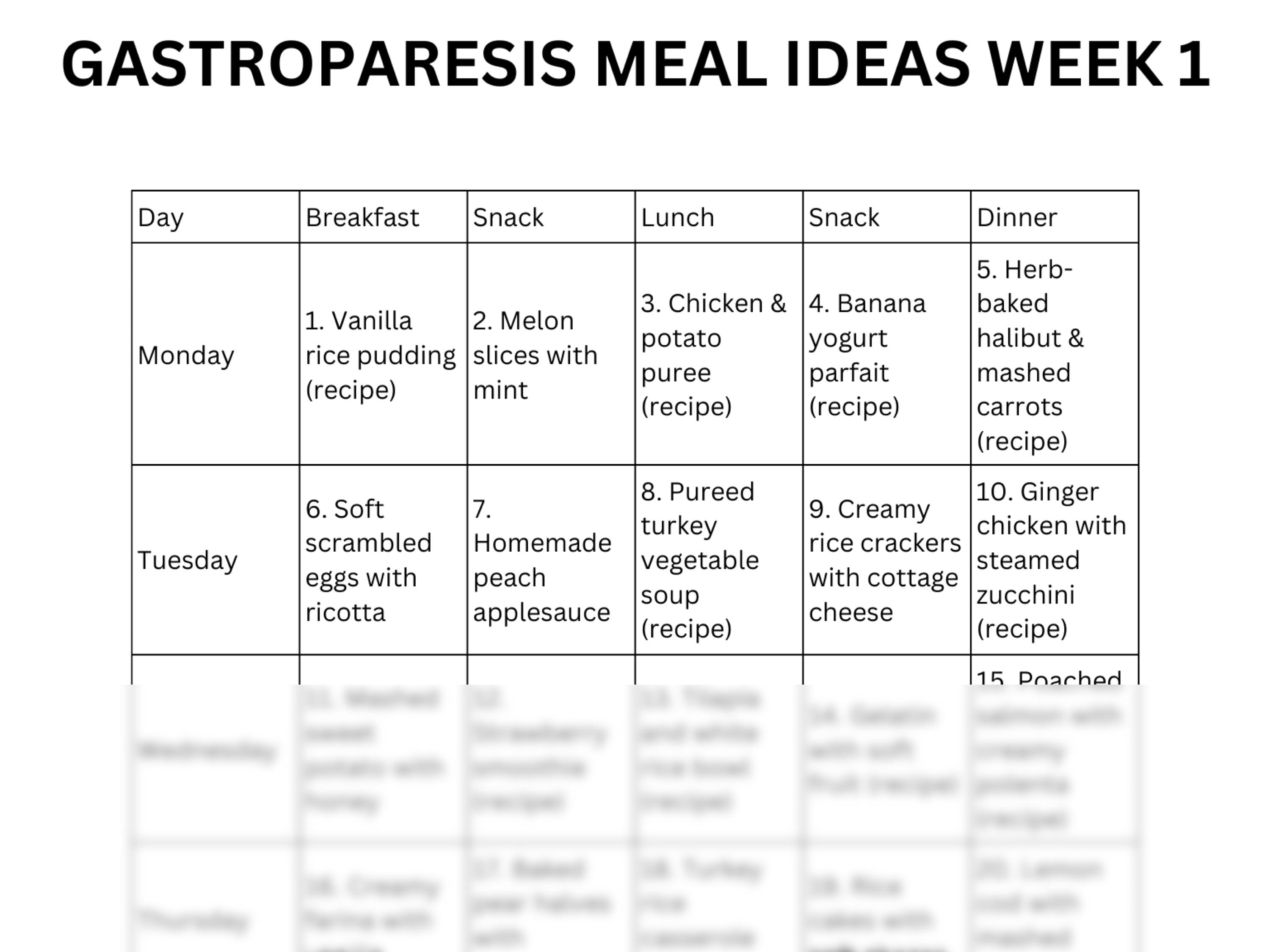 Gastroparesis Meal Plan PDF 3 Month Super Pack Gastroparesis Recipes gastroparesis-meal-plan-pdf-3-month-super-pack-gastroparesis-recipes