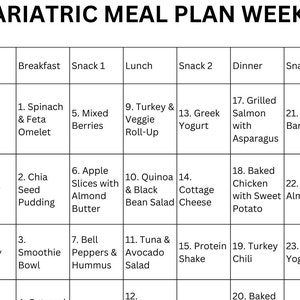 Bariatric Meal Plan Printable PDF - Il 300x300.6061236730 3p0d 