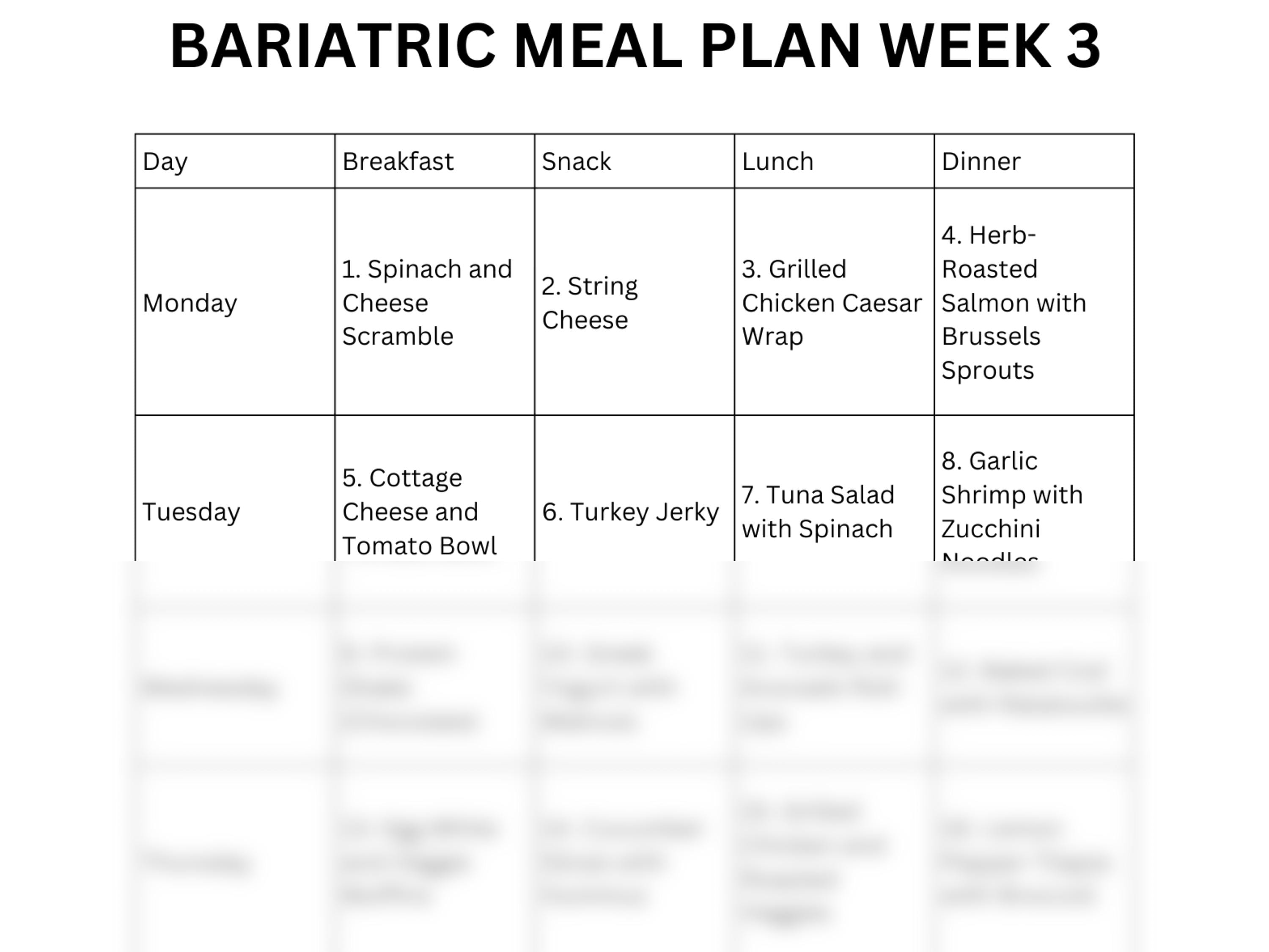 Bariatric Meal Plan Printable PDF | 3 Month Bundle of 7 Day Plans ...