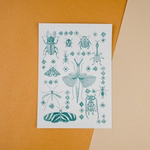 Insectes verts - carte postale inspirée de la nature ou impression d'art, décoration murale cottagecore, illustration confortable imprimée, esthétique maison automne