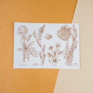Wildblumen - Natur inspirierte Postkarte oder Kunstdruck, Cottagecore Wanddekor, gedruckte gemütliche Illustration, Herbsthaus Ästhetik