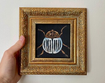 May include: A framed painting of a beetle. The beetle is painted with a brown and white shell and blue and white striped underbelly, set against a black background. The frame is ornate gold. The artwork is a square.