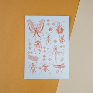 Orange Insekten - Natur inspirierte Postkarte oder Kunstdruck, Cottagecore Wanddekor, gedruckte gemütliche Illustration, Herbsthaus Ästhetik