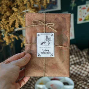 Mystery Oopsies - Lot de 5 objets fixes, mélange de cartes postales, signets et autocollants