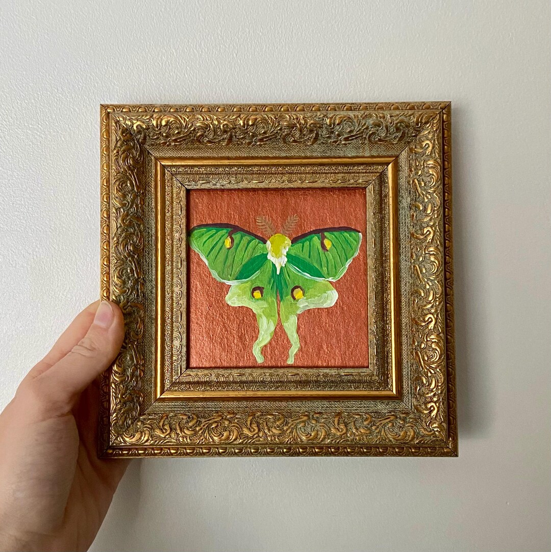 Luna Moth Original Miniature Oil Painting - Etsy