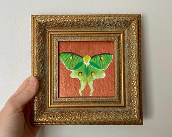 Luna Moth Original Miniature Oil Painting