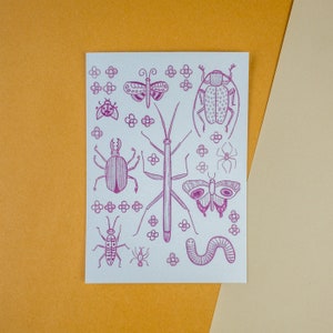 Violette Insekten - Natur inspirierte Postkarte oder Kunstdruck, Cottagecore Wanddekor, gedruckte gemütliche Illustration, Herbsthaus Ästhetik