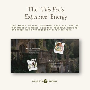 Showit Canvas Add On Bundle, Animation Template, Dfy Showit, Website design, Web Portfolio, Editable Showit Layouts, Modern Canvases image 8