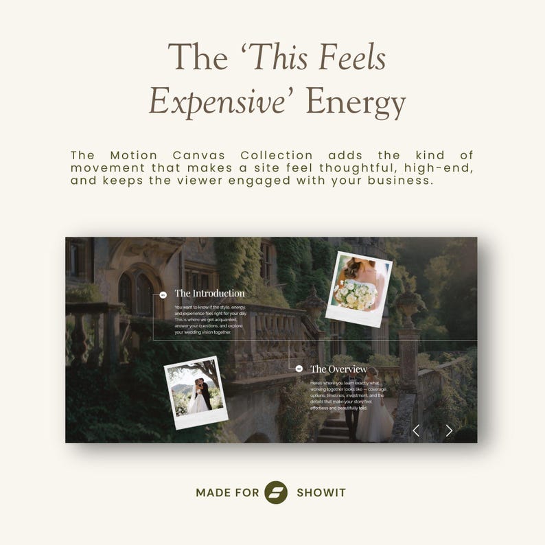Showit Canvas Add On Bundle, Animation Template, Dfy Showit, Website design, Web Portfolio, Editable Showit Layouts, Modern Canvases image 8