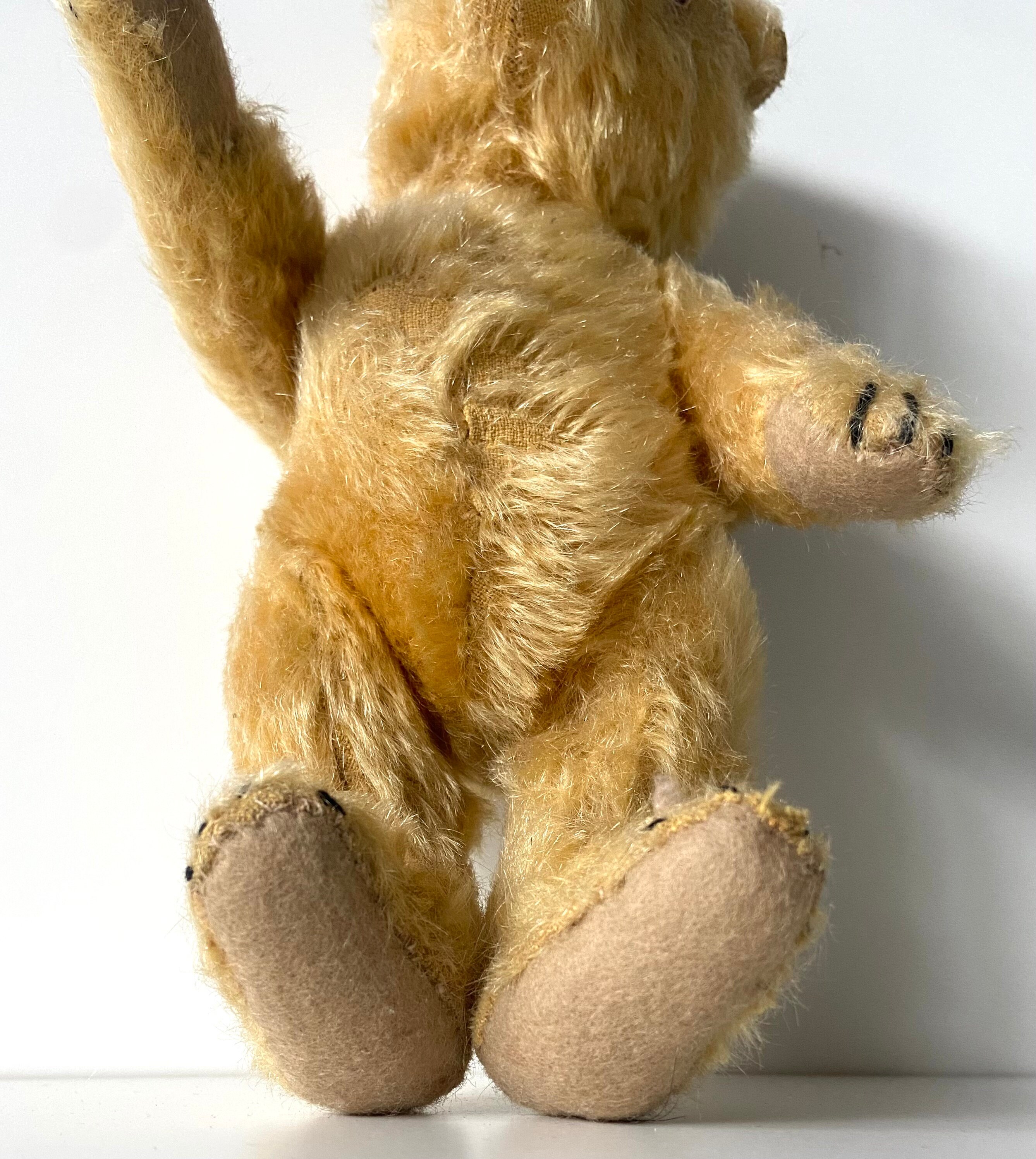 シュタイフ ベア - Knopf im ohr - テディ - ヴィンテージ