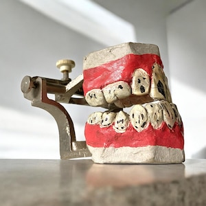 May include: A vintage dental model with a metal stand and a set of painted teeth. The teeth are white with black details and red gums.